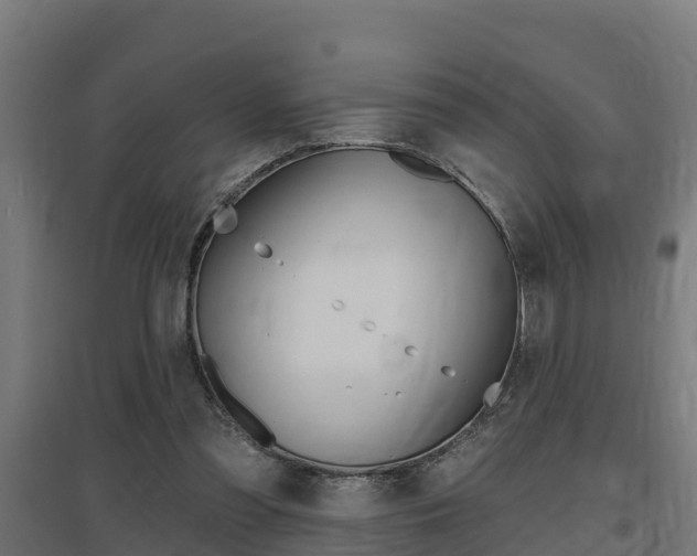 X0000097630301200802290851