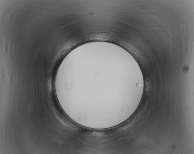 X0000097630302200802290851