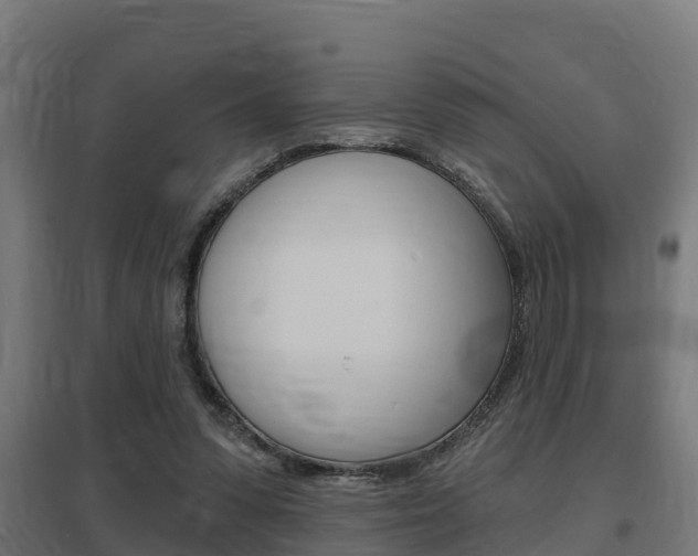 X0000097630303200802290851