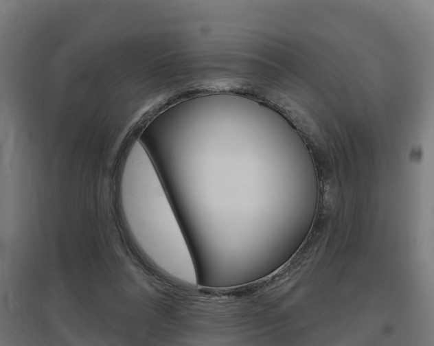 X0000097630304200802290851