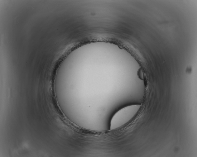 X0000097630306200802290851