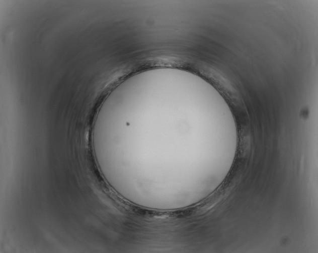 X0000097630310200802290850