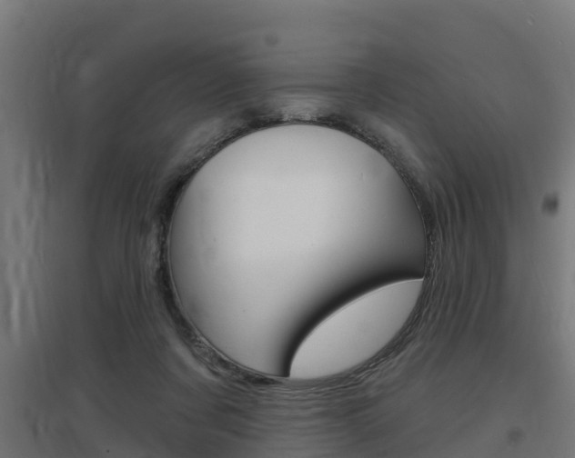X0000097630311200802290850
