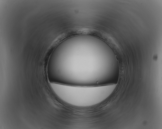 X0000097630312200802290850