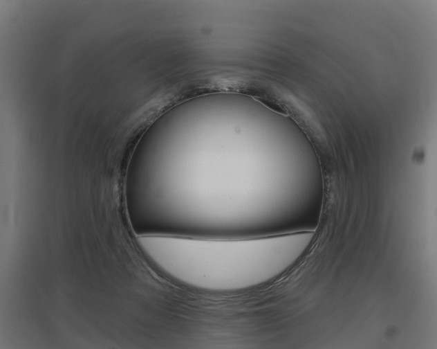 X0000097630313200802290850