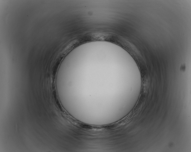 X0000097630314200802290850