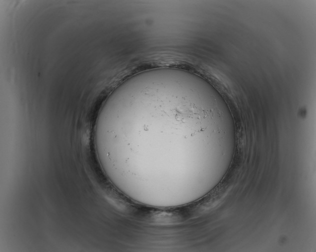 X0000097630315200802290850