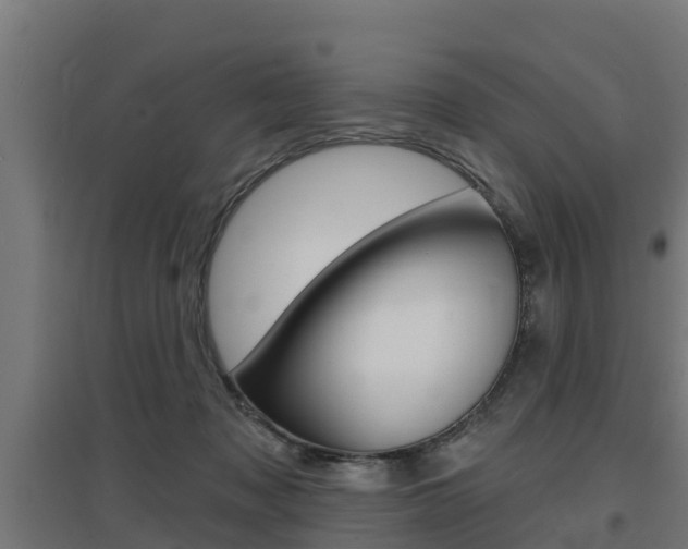 X0000097630317200802290850