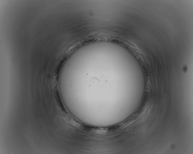 X0000097630318200802290850