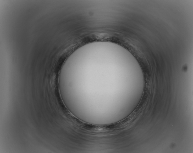 X0000097630319200802290850