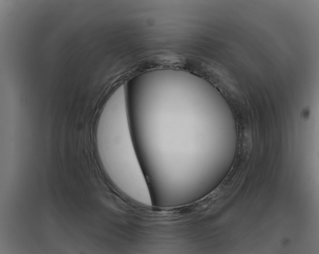 X0000097630320200802290850