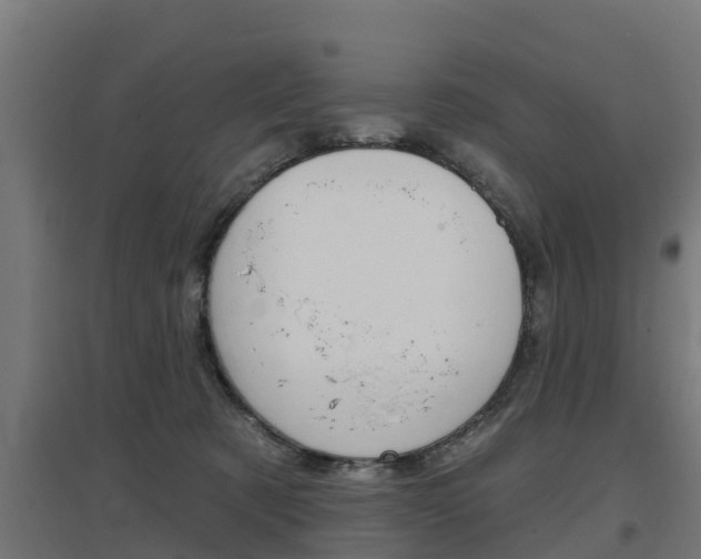 X0000097630321200802290850