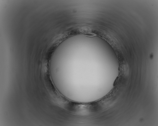 X0000097630323200802290850