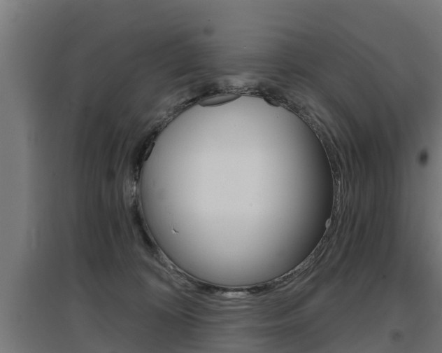 X0000097630324200802290850
