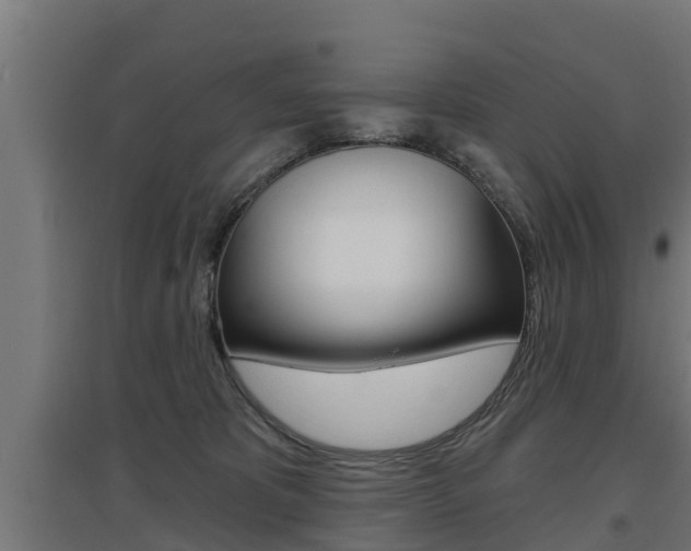 X0000097630325200802290850
