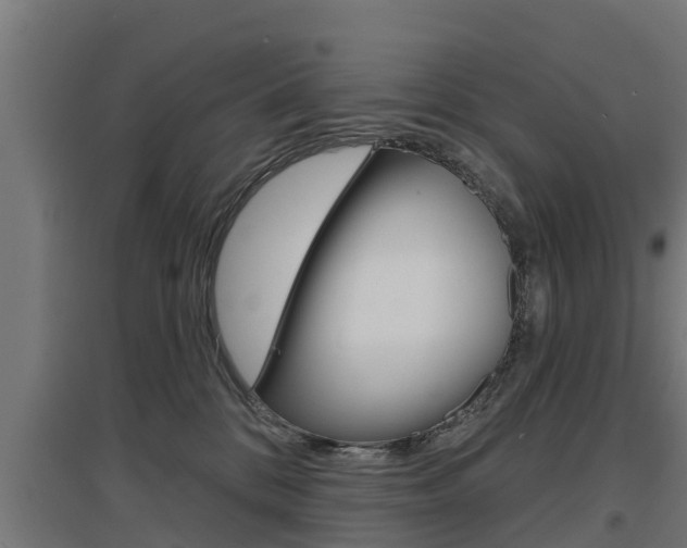 X0000097630328200802290850