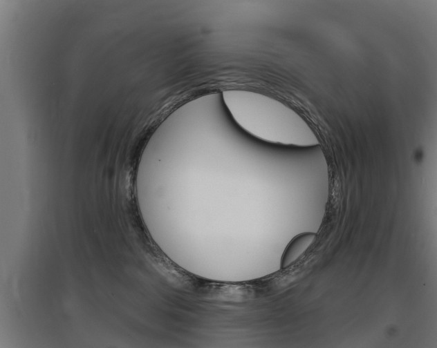 X0000097630330200802290850