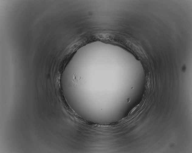 X0000097630332200802290850