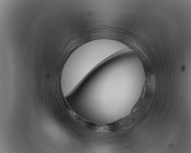 X0000097630333200802290850