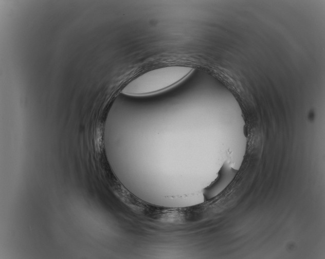 X0000097630335200802290850