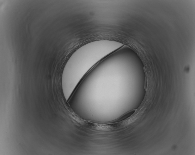 X0000097630336200802290850