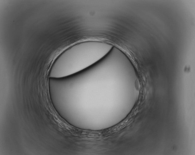 X0000097630337200802290849