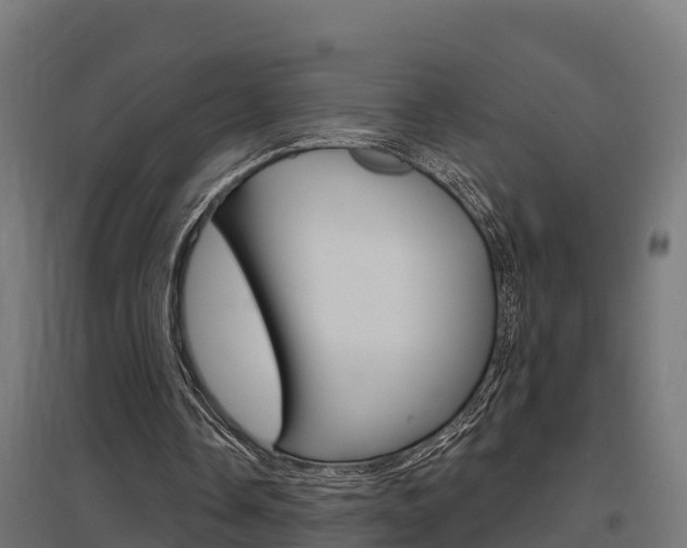 X0000097630338200802290849