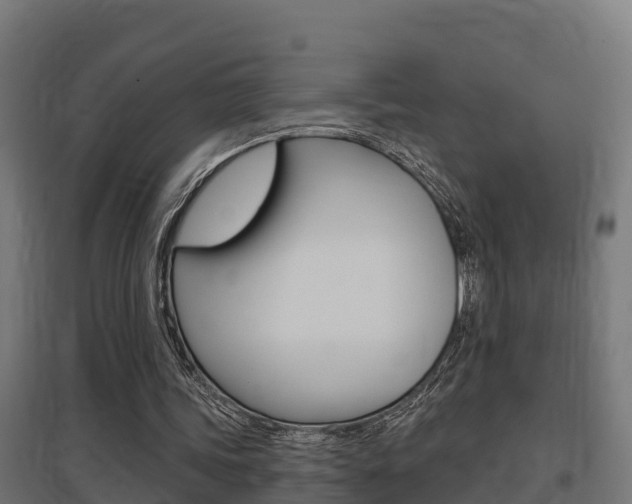 X0000097630339200802290849