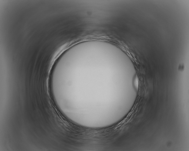 X0000097630340200802290849
