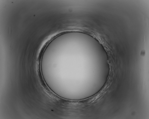 X0000097630342200802290849