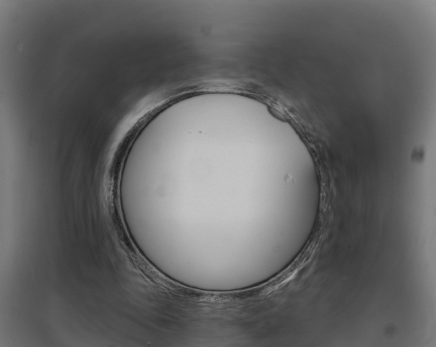 X0000097630343200802290849