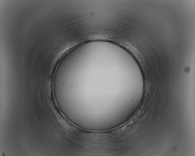 X0000097630345200802290849