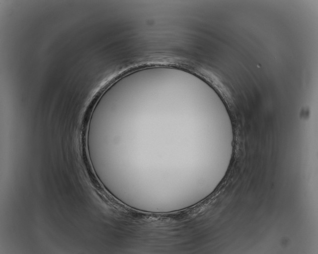 X0000097630346200802290849
