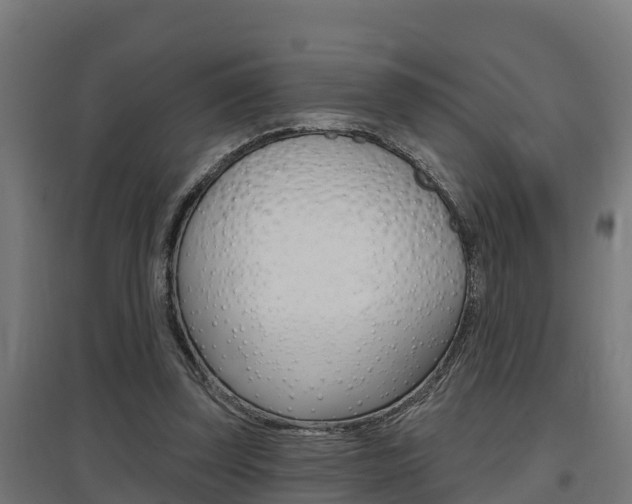 X0000097630347200802290849