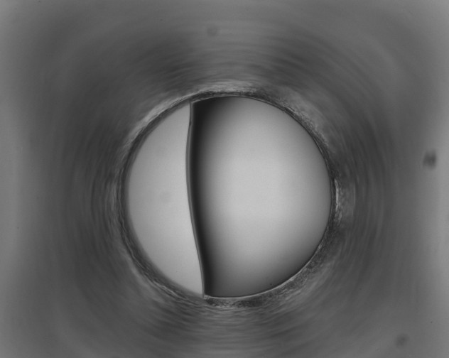 X0000097630348200802290849