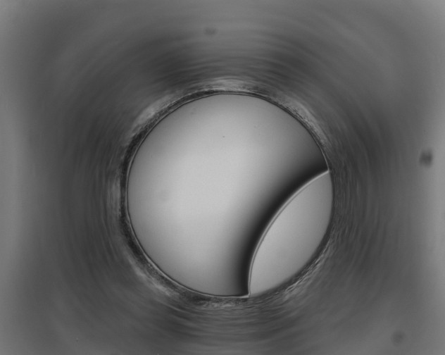 X0000097630349200802290849