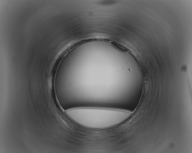 X0000097630350200802290849