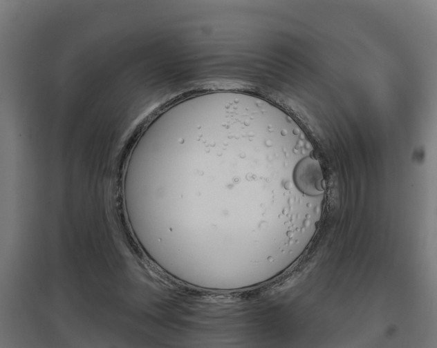 X0000097630351200802290849