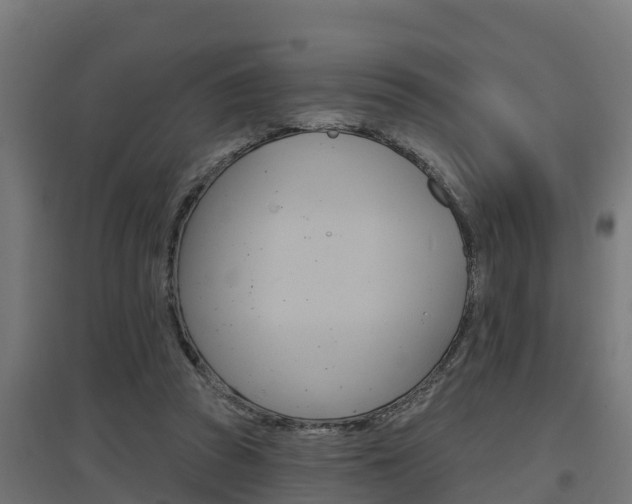 X0000097630353200802290849