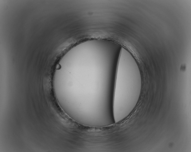 X0000097630354200802290849