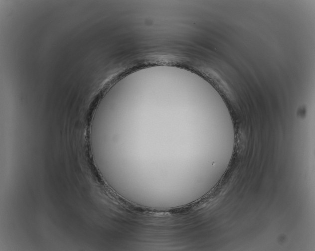 X0000097630355200802290850
