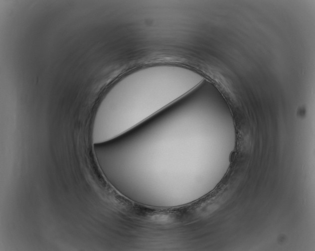 X0000097630358200802290850