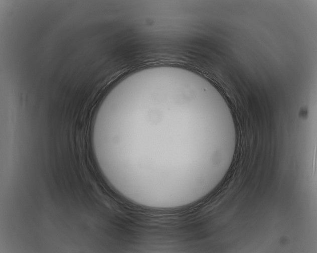 X0000097630360200802290850