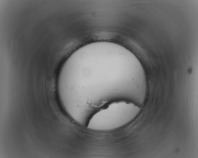 X0000097630362200802290850