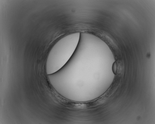 X0000097630363200802290850