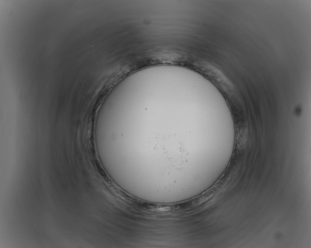 X0000097630365200802290850