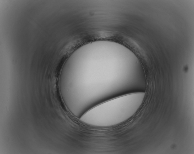 X0000097630366200802290850