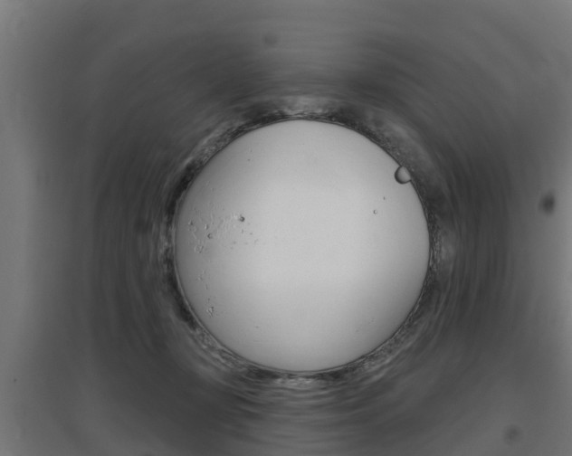 X0000097630367200802290850