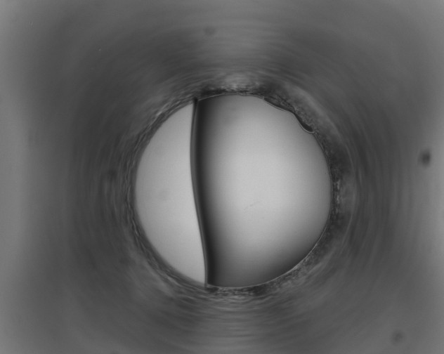 X0000097630368200802290850