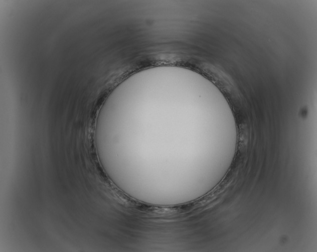 X0000097630369200802290850